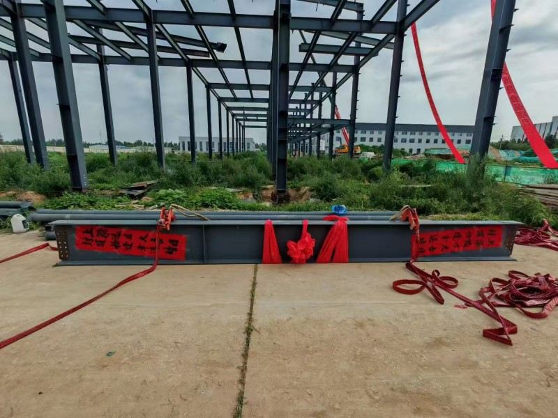 Yongcheng Xingye Steel Structure Company accéléré Construction de Hebei Bosheng Food Workshop